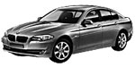 BMW F10 B10C1 Fault Code